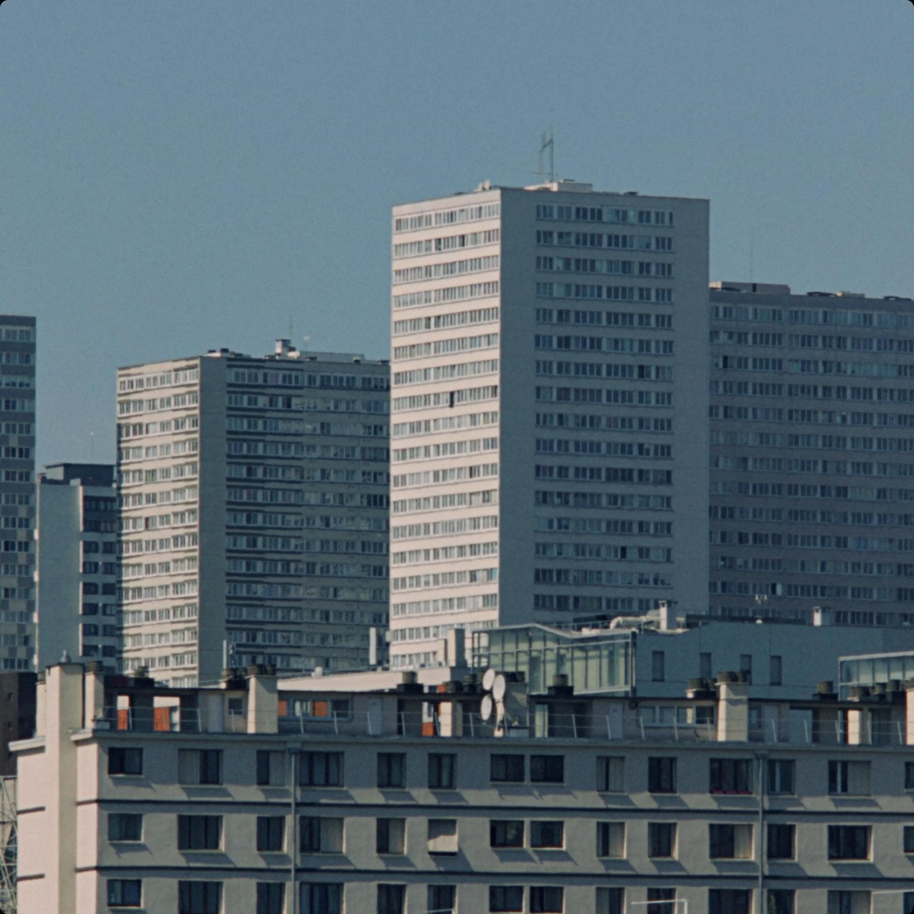 Image - Card Grid - Spring refresh - 5