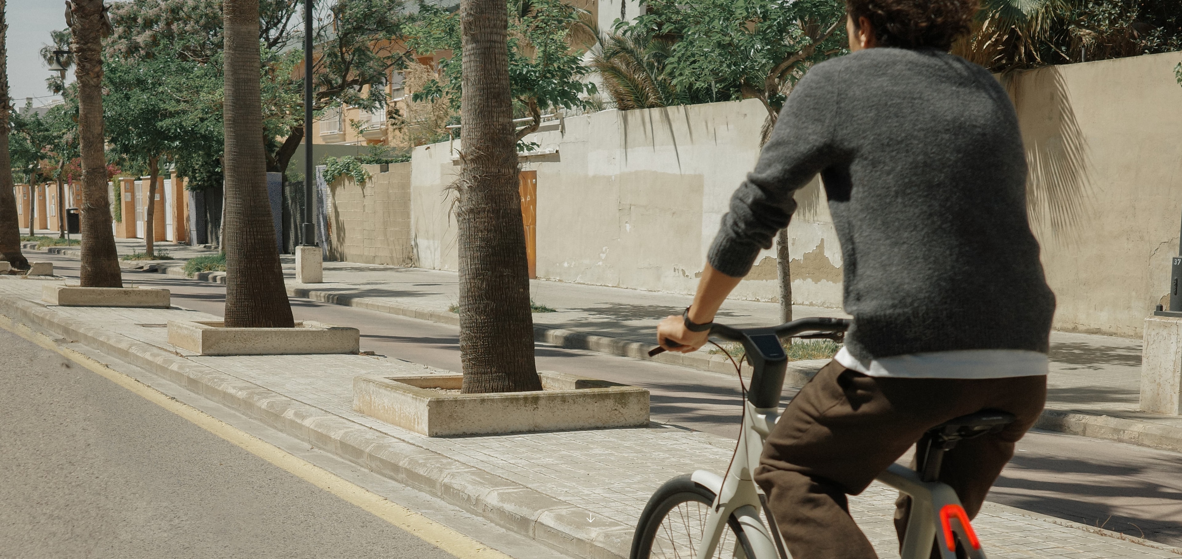 Which bike is best for you?