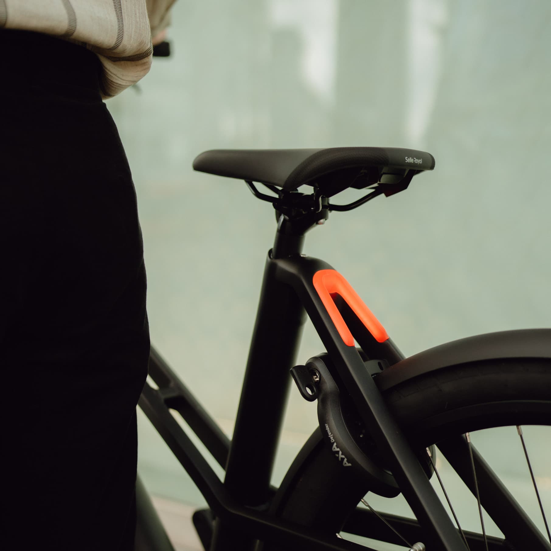 Image - Card Grid - Cleo Goossens - 2